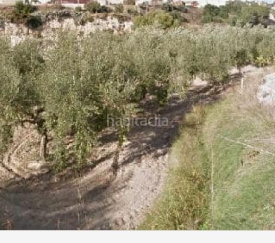 Foto 89ae39e3-39e8-424c-8a0e-db885ba3296c. Finca rústica a Centro Ontinyent