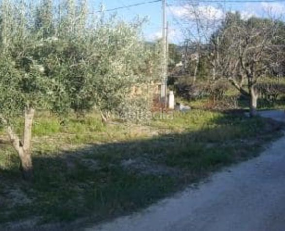 Foto b1782381-c792-4a34-94eb-3ba478d85488. Finca rústica a Centro Ontinyent