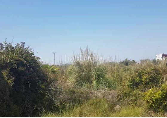 Foto 637663a9-2f08-4382-8025-c5e7f991b75b. Finca rústica a Sueca Sueca