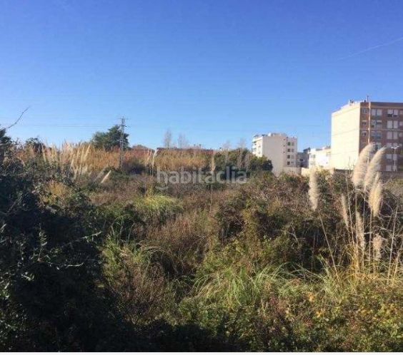 Foto ad2bb2fa-9800-4e97-89b1-07b53994cd75. Finca rústica a Sueca Sueca