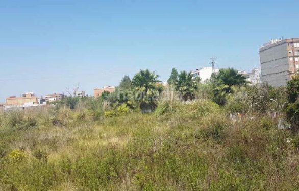 Foto de9f1803-ab52-44db-b70a-2795388c1e36. Finca rústica a Sueca Sueca