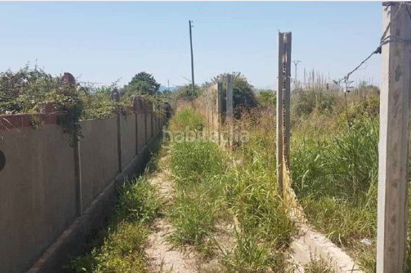 Foto e1c89e5f-cbf1-4f90-9b35-682b8da246e7. Finca rústica a Sueca Sueca