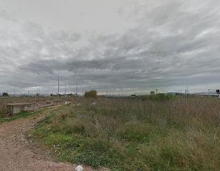 Rural plot in Alberic. Cm