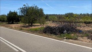 Finca rústica  C-851. San jorge (castellón). suelo rústico