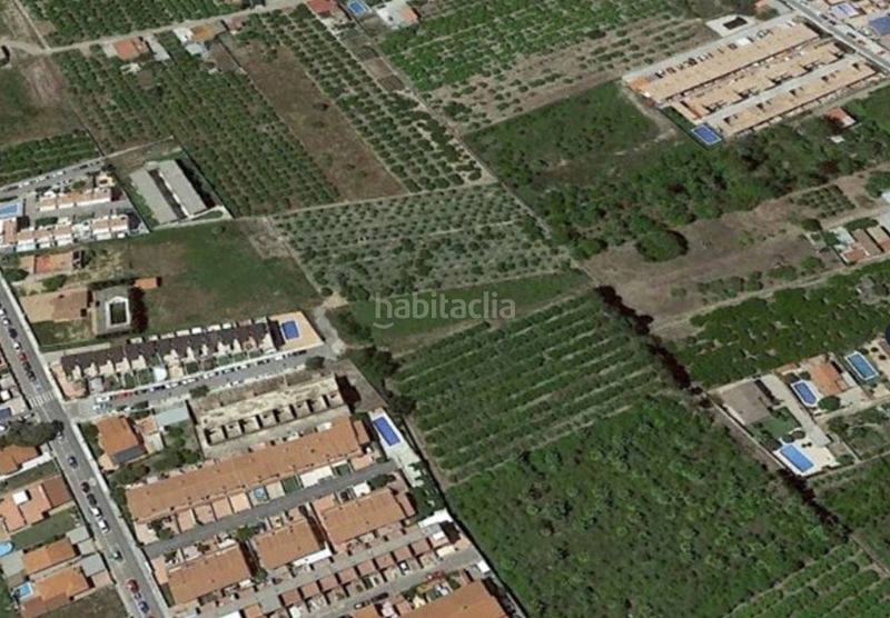 Foto 3e43d117-054e-4187-a309-e05ff1ef58e8. Finca rústica a Playa-Ben Afeli Almazora / Almassora