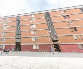Pis a Carrer de Trapani