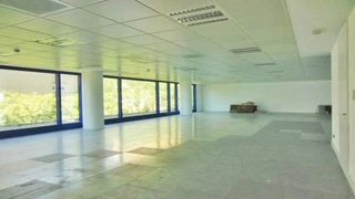 Bureau  Avinguda dels vents. Badalona, (barcelona). en rentabilidad (se vende alquilado, no s