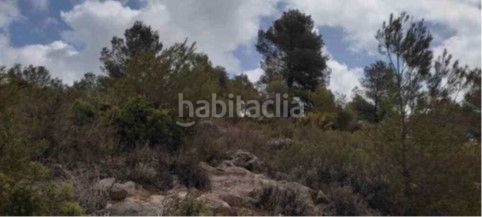 Foto 7305fa2d-9062-41c0-9990-680070c8ee5f. Finca rústica a Purchena
