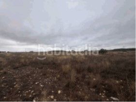 Foto 1c6f266d-0ac9-4b65-9cfb-ae09fa5f64ad. Finca rústica a Almansa