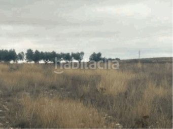 Foto c030ee5b-3b5f-44bd-b669-aa7d99218858. Finca rústica a Almansa