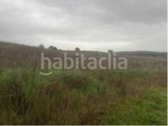 Foto 5ce2e224-22e7-4524-9140-73288dd98d06. Finca rústica a Alcolea de Calatrava