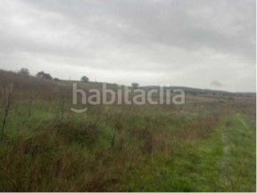 Foto 702bcb10-12b6-487a-ae95-7747f80c7661. Finca rústica a Alcolea de Calatrava