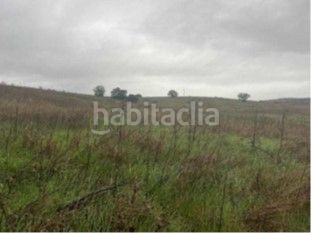 Foto 908fcaec-4686-4206-b840-a13509f262fd. Finca rústica a Alcolea de Calatrava
