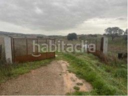 Foto 9c882207-4cf6-4cf1-aee9-94db567e8400. Finca rústica a Alcolea de Calatrava