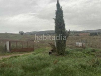 Foto ebecee7f-5754-4542-b299-63f9cb7ccfc2. Finca rústica a Alcolea de Calatrava