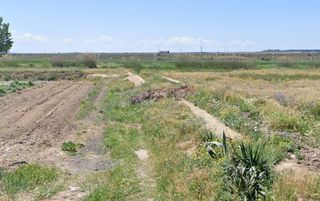 Finca rústica a San Juan de Mozarrifar. Zaragoza ( zaragoza ) paraje las navas, en polígono 4.