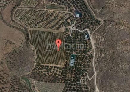 Foto 02522e0f-8fee-4276-9d2b-417e28cef701. Finca rústica a Alcolea