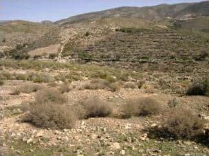 Fondo rustico in Alcolea. Alcolea ( almería ) pj llano hoyuelas.