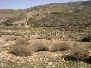 Foto 0a669214-2dcd-4341-b153-98fd59152b8d. Finca rústica a Alcolea