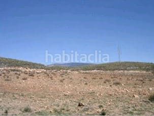 Foto c68d673f-b439-4dde-8711-335e4f641cee. Finca rústica a Alcolea
