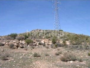Foto cb7eb23a-9ff1-4c46-bf1b-ac4cf6a766f1. Finca rústica a Alcolea