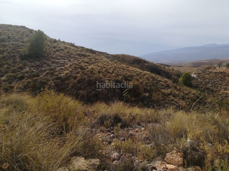 Foto 7be999b4-eaea-4490-92c1-7cca85756b98. Finca rústica a Alcolea