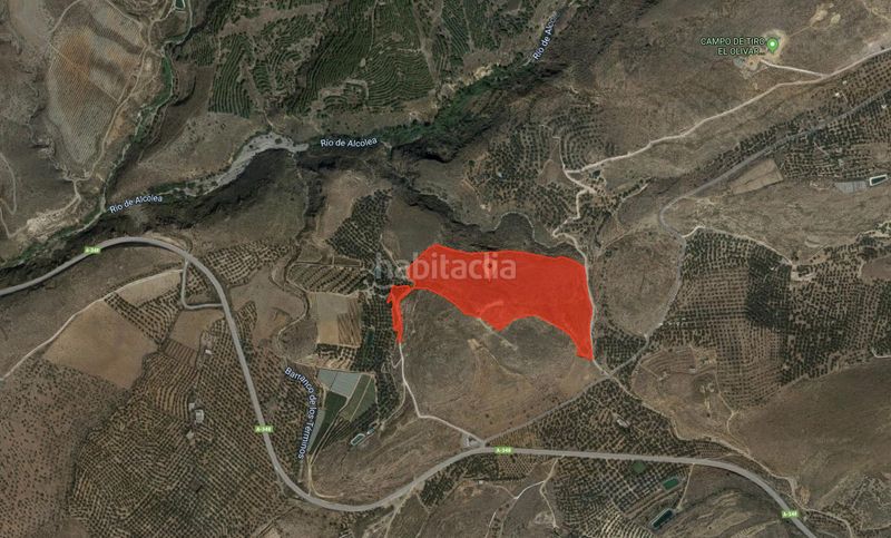 Foto ba30b58f-c978-43b5-9f9e-af2ab77675cc. Finca rústica a Alcolea