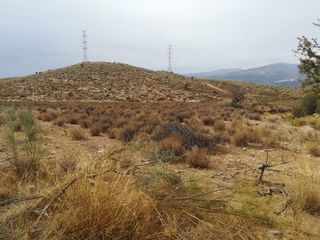 Rural plot in Alcolea. Alcolea ( almería ) pj llano hoyuelas.