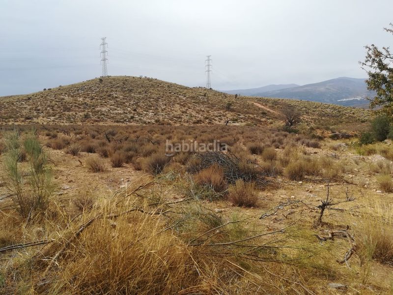 Foto f9e7ffee-950f-4e6e-b1e2-2c3147c0c18e. Finca rústica a Alcolea