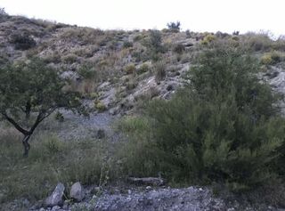 Finca rústica a Nogalte