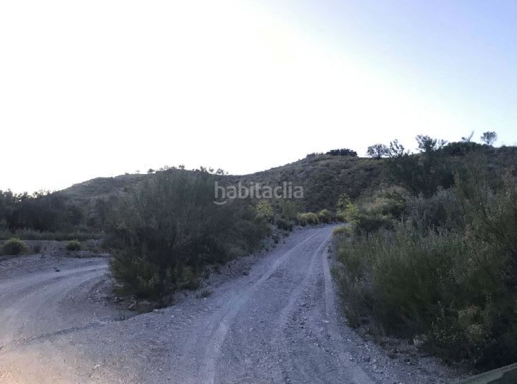 Foto 89fd0455-5b02-4e8a-b086-3f0a6b979d8f. Finca rústica a Nogalte Lorca
