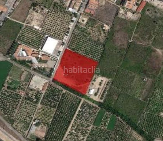 Foto e8041a52-3bd1-4309-b6d2-968869465d84. Finca rústica a Sueca Sueca