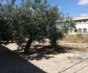 Finca rústica a Llombai. Procedente de banco