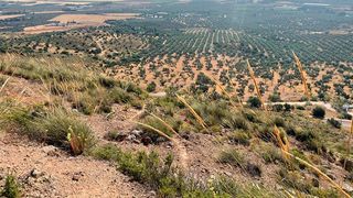 Terreny residencial a Arrabal Urb Antequera Golf