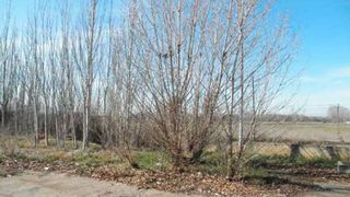 Terreny residencial a Monzón de Campos