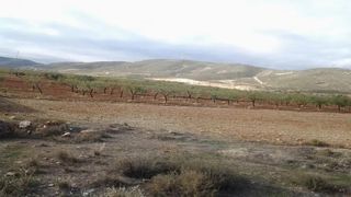 Terreny residencial a Zona Jerez