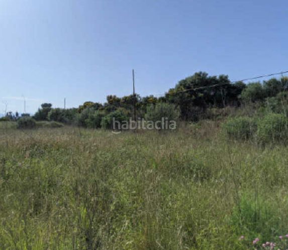 Foto 493cad60-2092-402f-8f81-0fd042a3251d. Finca rústica a El Pilar Villarreal / Vila - real
