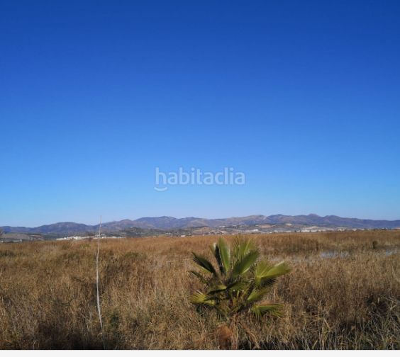 Foto aecc573a-bf90-49c4-8041-378e342ae655. Finca rústica cm en Llosa (la)