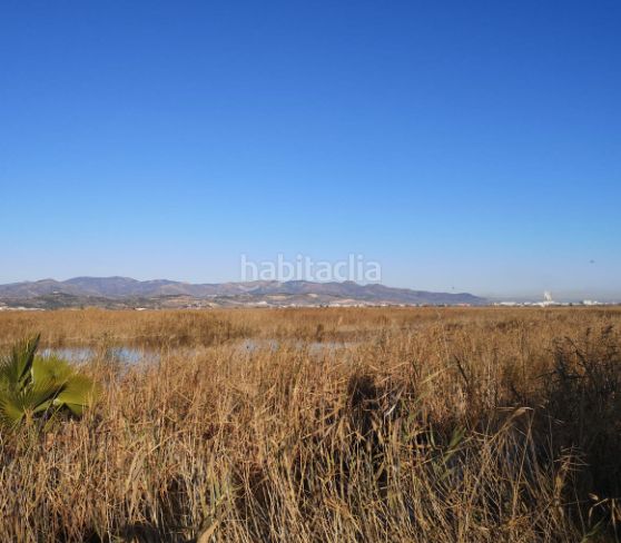 Foto b29a9e18-9a61-4bc9-9081-5a3aa6f176aa. Finca rústica cm en Llosa (la)