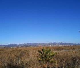 Finca rústica a Llosa (la). Cm