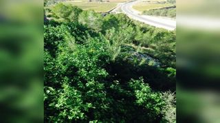 Terreny residencial a Carrer del Ter
