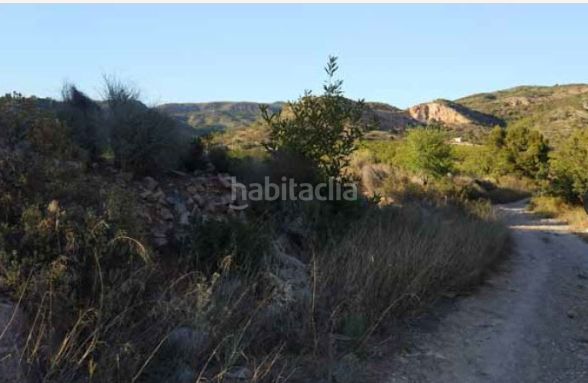 Foto da72f4e5-885d-4383-92d9-e73943332d56. Finca rústica a camí l'abeller 148 a Borriol