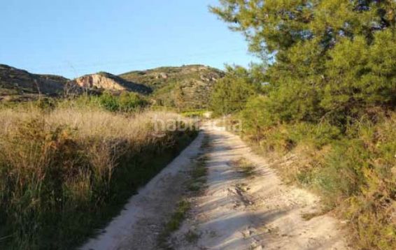 Foto ed56c800-7b7c-472e-9c12-455e5012853e. Finca rústica a camí l'abeller 148 a Borriol