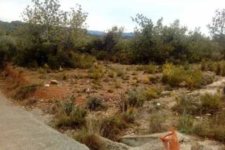 Rural plot in San Jorge. Cm
