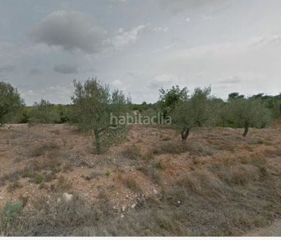 Foto caf3f888-c6f4-47c0-b210-1f9efa3918b6. Finca rústica a San Jorge