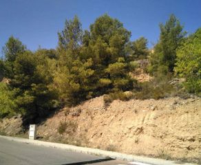 Landgut in Alcora (l´). Cm