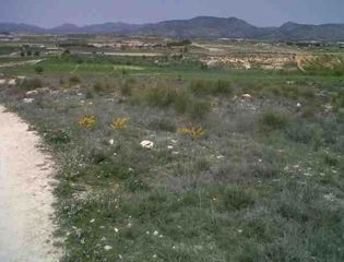 Finca rústica a Caravaca de la Cruz. Caravaca de la cruz ( murcia ) polígono 87.
