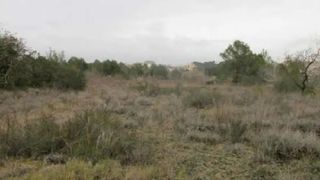 Landgut in Valls. Valls, (tarragona) terreno rústico en irlas.