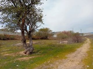 Finca rústica en La Flecha - Monasterio del Prado. Arroyo de la encomienda, (valladolid)  pago aranzana, polígono 4