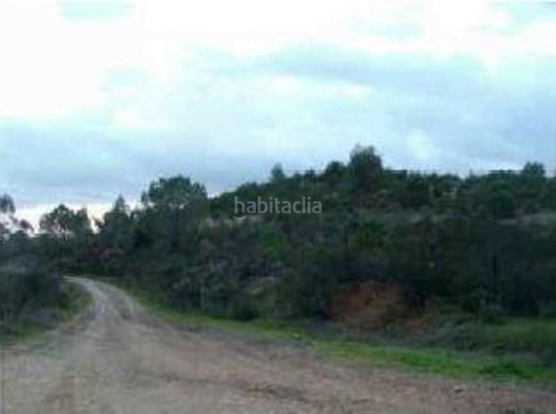 Foto dbc7c2b7-e5c9-457e-9886-ca2bca7638fa. Finca rústica a Palma del Condado (La)